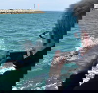 Mandurah Dolphin Island Adventure - Phillip Island Accommodation