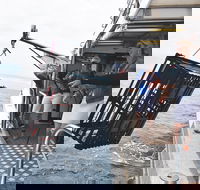 Rottnest Island Wild Seafood Package from Perth with Transfer - Phillip Island Accommodation