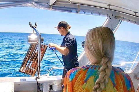 Rottnest Island 5-Course Deluxe Seafood Banquet Cruise - Phillip Island Accommodation 20