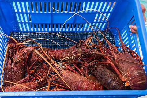 Rottnest Island 5-Course Deluxe Seafood Banquet Cruise - Phillip Island Accommodation 3