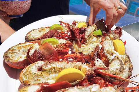 Rottnest Island 5-Course Deluxe Seafood Banquet Cruise - Phillip Island Accommodation 2