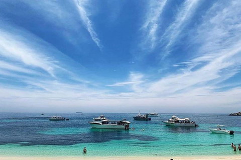 Rottnest Island 5-Course Deluxe Seafood Banquet Cruise - Phillip Island Accommodation 7