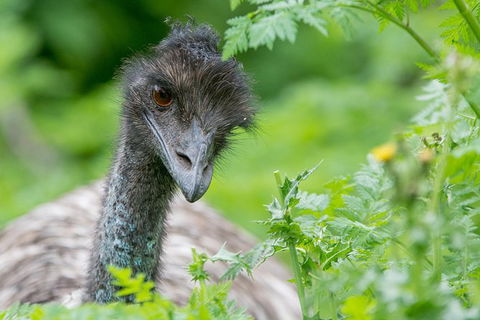 Small-Group Grampians Great Wilderness Escape Day Trip With Hiking - Phillip Island Accommodation 11