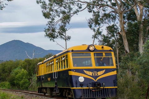 Steam Train, Yarra Valley & Healesville Wildlife Sanctuary Full Day Tour - Phillip Island Accommodation 3