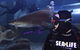 Shark Dive Experience At SEA LIFE Melbourne Aquarium - thumb 8