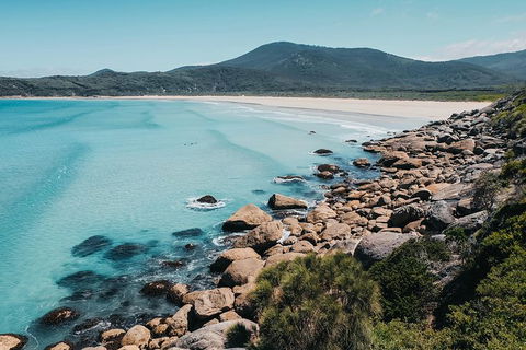 Small Group - Wilsons Promontory Hiking Day Tour From Melbourne - Phillip Island Accommodation 2