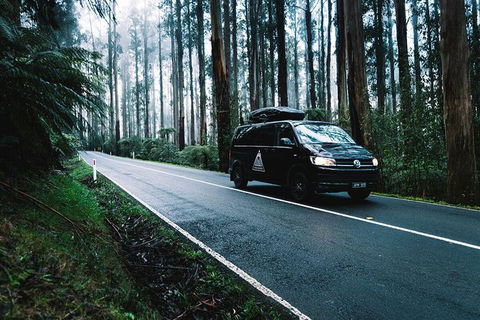 Small Group - Wilsons Promontory Hiking Day Tour From Melbourne - Phillip Island Accommodation 3