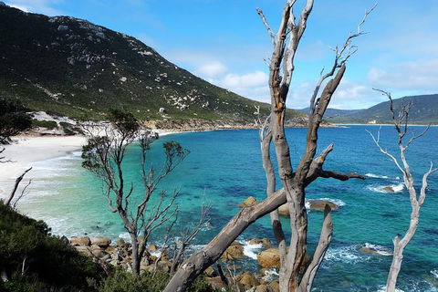 Small Group - Wilsons Promontory Hiking Day Tour From Melbourne - Phillip Island Accommodation 6