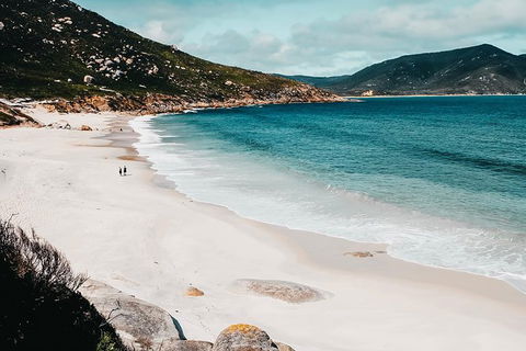 Small Group - Wilsons Promontory Hiking Day Tour From Melbourne - Phillip Island Accommodation 5