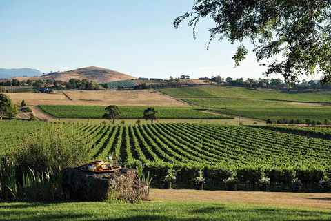 Small Group 6 Guests: Ultimate Yarra Valley Food And Wine - Mercedes Van - Phillip Island Accommodation 5