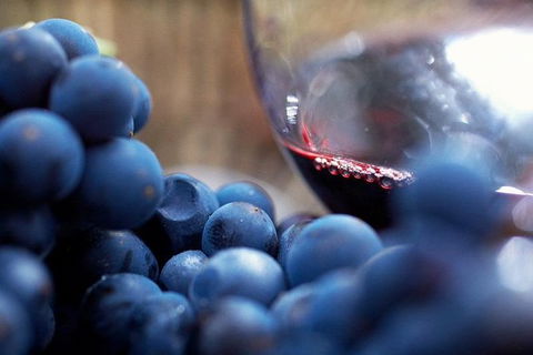 Small Group 6 Guests: Ultimate Mornington Peninsula Food And Wine - Phillip Island Accommodation 2