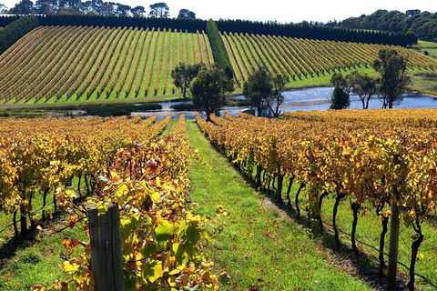 Small Group 6 Guests: Ultimate Mornington Peninsula Food And Wine - Phillip Island Accommodation 3