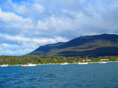 Full-Day Tasman Peninsula Tour From Hobart - Phillip Island Accommodation 7