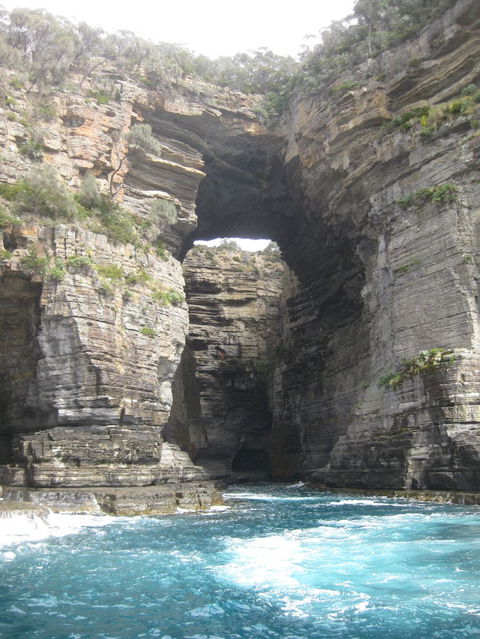 Full-Day Tasman Peninsula Tour From Hobart - Phillip Island Accommodation 5