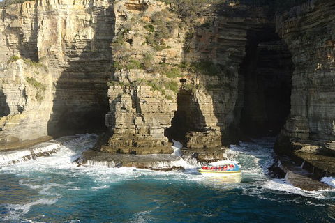 Full-Day Tasman Peninsula Tour From Hobart - Phillip Island Accommodation 18