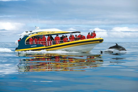 Full-Day Tasman Peninsula Tour From Hobart - Phillip Island Accommodation 17