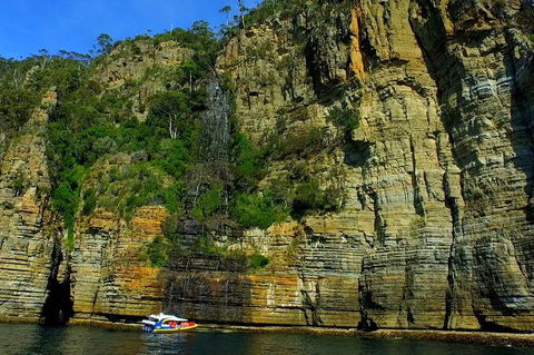 Full-Day Tasman Peninsula Tour From Hobart - Phillip Island Accommodation 21