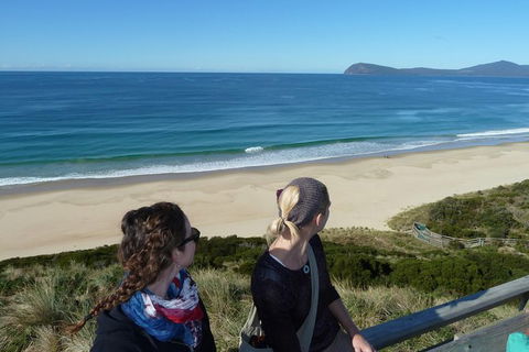 Small-Group Day Trip From Hobart To Bruny Island - Phillip Island Accommodation 9