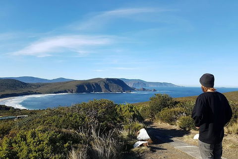 Small-Group Day Trip From Hobart To Bruny Island - Phillip Island Accommodation 6