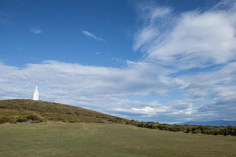 Bruny Island Premium Private Photo-oriented Day Tour From Hobart - Phillip Island Accommodation 1
