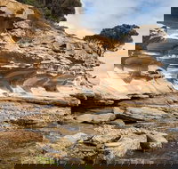 Maria Island premium private photo-oriented day tour from Hobart - Phillip Island Accommodation