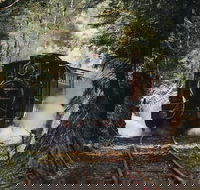 West Coast Wilderness Railway River and Rainforest from Strahan - Phillip Island Accommodation