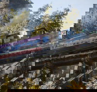 West Coast Wilderness Railway Queenstown Explorer from Strahan - Phillip Island Accommodation