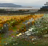 Mona and Wine Experience Tour - Phillip Island Accommodation