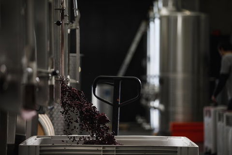 Private 90-minute Moorilla Estate Winery Tour With Tastings And Free Wine Gift - Phillip Island Accommodation 1