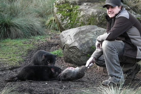 Sunset Experience - Phillip Island Accommodation 4