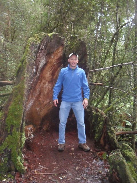 Mt Field National Park And Russell Falls From Hobart - Phillip Island Accommodation 6