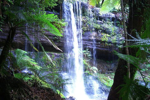 Mt Field National Park And Russell Falls From Hobart - Phillip Island Accommodation 1