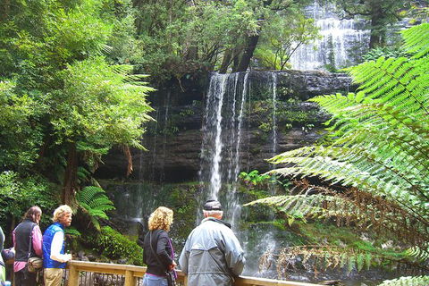 Mt Field National Park And Russell Falls From Hobart - Phillip Island Accommodation 0
