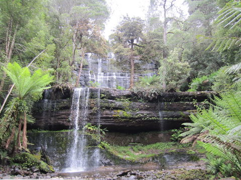 Mt Field National Park And Russell Falls From Hobart - Phillip Island Accommodation 4