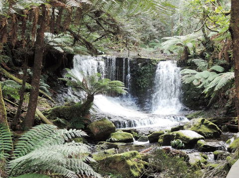 Mt Field National Park And Russell Falls From Hobart - Phillip Island Accommodation 2