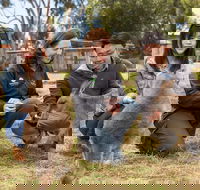 Bonorong Wildlife Park and Richmond Afternoon Tour from Hobart - Phillip Island Accommodation