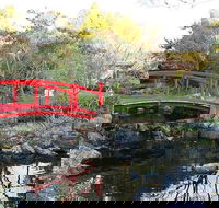 Small-group tour from Hobart Native Flora and Fauna incl. Royal Bot. Gardens - Phillip Island Accommodation