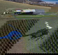 Bangor Vineyard Shed Helicopter Tour - Phillip Island Accommodation