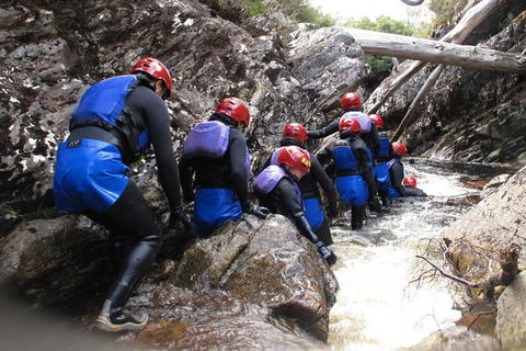 Half Day Cradle Mountain Canyoning: Lost World Canyon - Phillip Island Accommodation 1