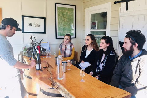 7- 8 Hour StelaVino Guided Wine Tours From Hobart - Phillip Island Accommodation 23