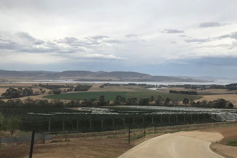 7- 8 Hour StelaVino Guided Wine Tours From Hobart - Phillip Island Accommodation 6