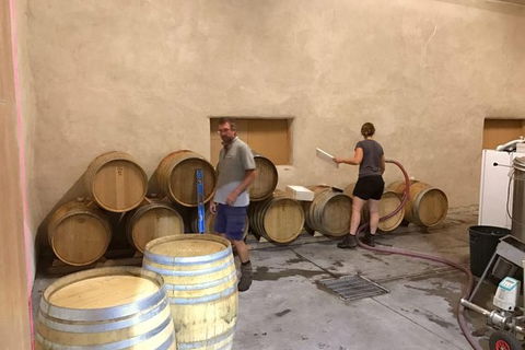 7- 8 Hour StelaVino Guided Wine Tours From Hobart - Phillip Island Accommodation 18