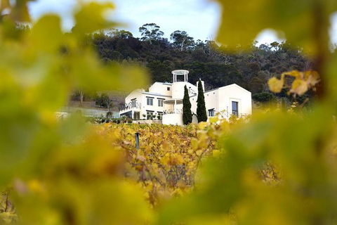 7- 8 Hour StelaVino Guided Wine Tours From Hobart - Phillip Island Accommodation 22