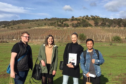 7- 8 Hour StelaVino Guided Wine Tours From Hobart - Phillip Island Accommodation 13