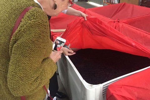 7- 8 Hour StelaVino Guided Wine Tours From Hobart - Phillip Island Accommodation 20