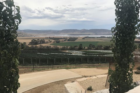 7- 8 Hour StelaVino Guided Wine Tours From Hobart - Phillip Island Accommodation 10