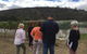 7- 8 Hour StelaVino Guided Wine Tours From Hobart - thumb 9