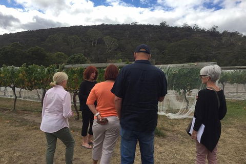 7- 8 Hour StelaVino Guided Wine Tours From Hobart - Phillip Island Accommodation 9