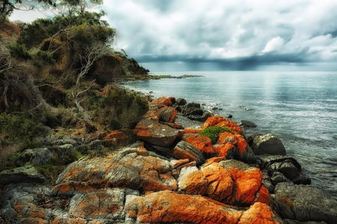 Hobart\'s Best: City, Nature, Wildlife, And Fine Cuisine - Phillip Island Accommodation 6