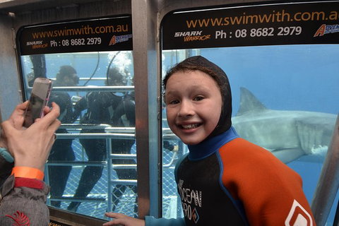 White Shark Tour With Optional Cage Dive From Port Lincoln - Phillip Island Accommodation 8